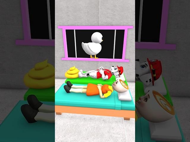 GTA V - Cappuccino Lazer vs Marshall & Little Duck #gta #animation #funny #trending