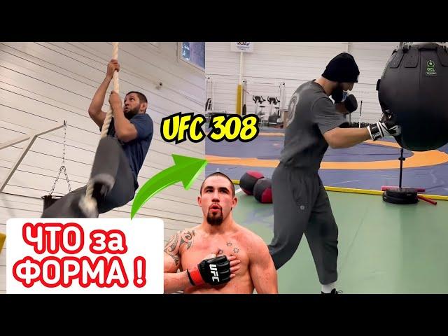 Хамзат Чимаева ПОКАЗАЛ ФОРМУ перед БОЕМ с Уиттакером на UFC 308 !