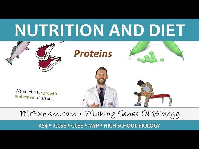 Nutrition and Diet - GCSE Biology (9-1)