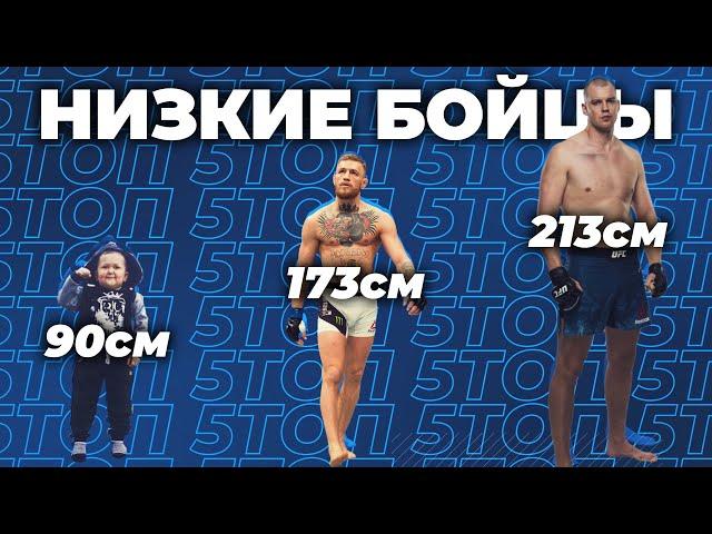  ТОП 10 САМЫХ НИЗКИХ БОЙЦОВ ВО ВСЕХ ВЕСОВЫХ