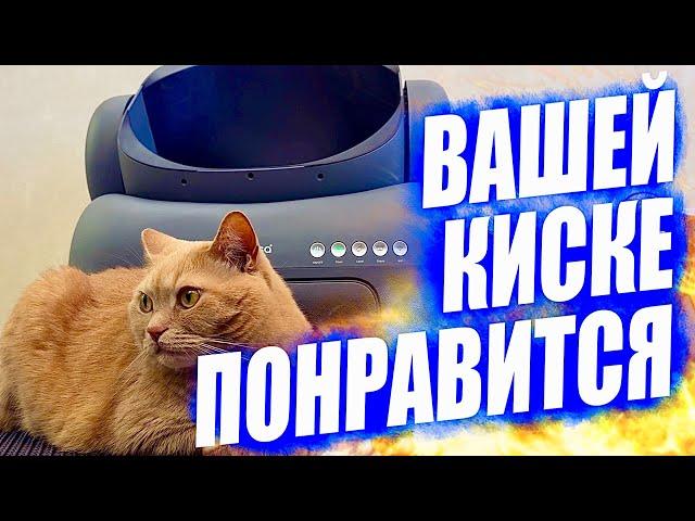 New! Smart technologies for cats. Testing automatic cat litter box-tray Neakasa M1