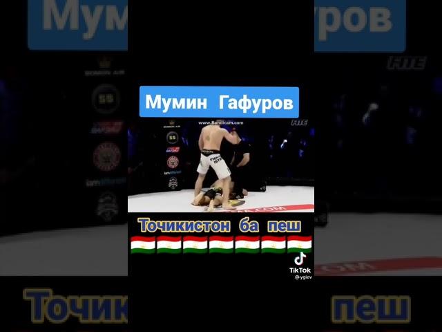 ТАДЖИК ufc Муин гафуров бой