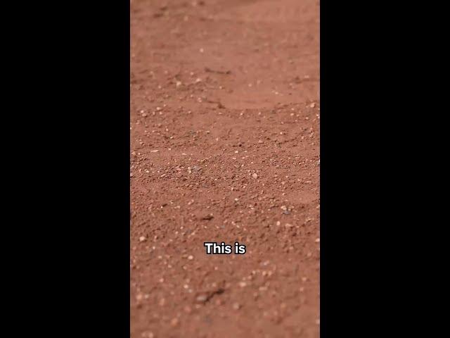 this is not a test, baseball is back in szn @hafu #baseball #worldrecord #sports