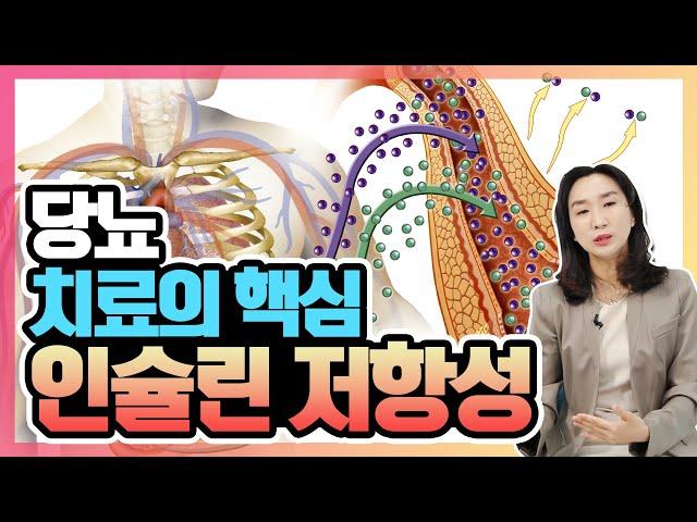 당뇨 극복하려면 ‘인슐린 저항성’ 관리는 필수 | 최영주의 당당스쿨 #11 내분비내과 최고의 난제! 당뇨병 먼저? 인슐린저항성 먼저?