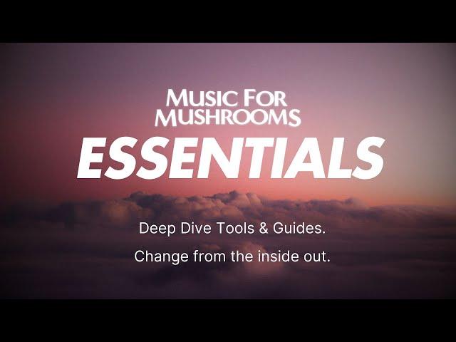 Music For Mushrooms ESSENTIALS - Tools for Real Change