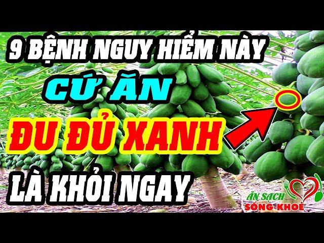 9 Tác Dụng Chữa BỆNH THẦN KỲ Của ĐU ĐỦ XANH, Tốt Hơn NHÂN SÂM THUỐC BỔ, Thần Dược Trời Ban SỐNG THỌ