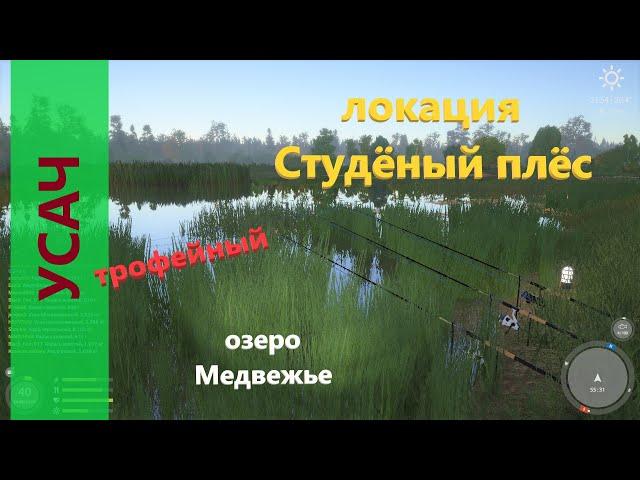 Русская рыбалка 4 - озеро Медвежье - Усач в камышах