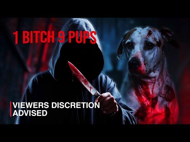 This video will SHOCK youuu!!! | 1 Bitch 9 Pups | HumourHell