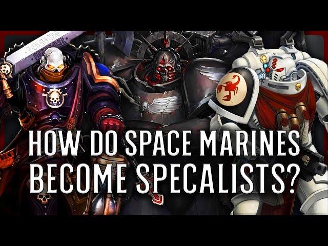 Every Space Marine Specialist EXPLAINED By An Australian | Warhammer 40k Lore