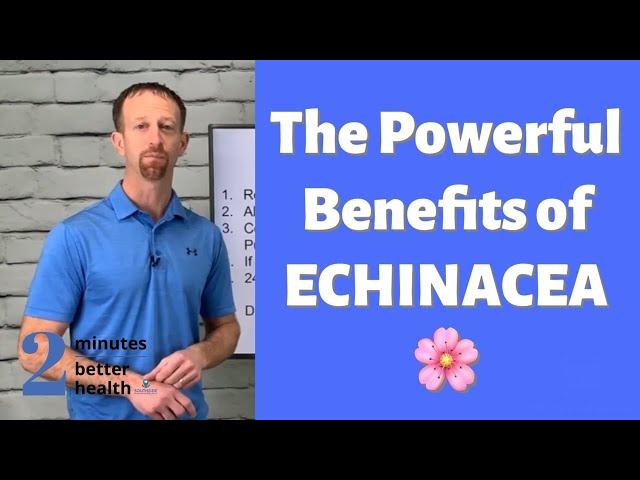 The Powerful Benefits of Echinacea | 2 Minutes to Better Health