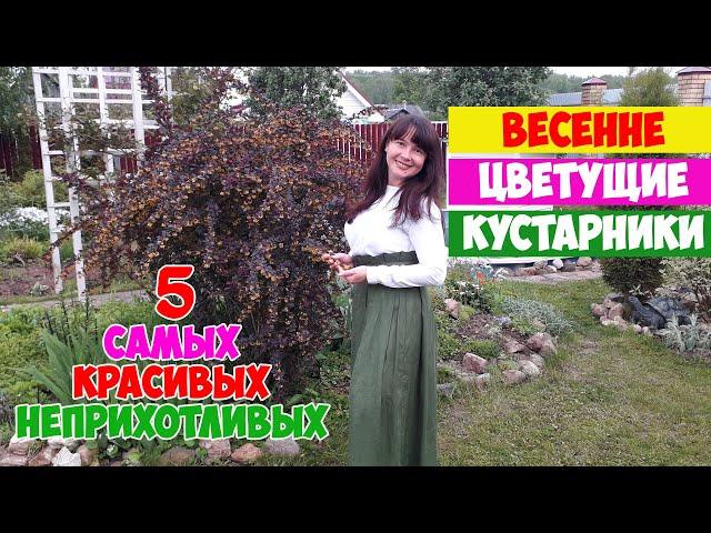 5 КРАСИВЫХ И НЕПРИХОТЛИВЫХ ВЕСЕННИХ КУСТАРНИКОВ для САДА! Калина, Спирея, Барбарис, Вейгела, Айва.