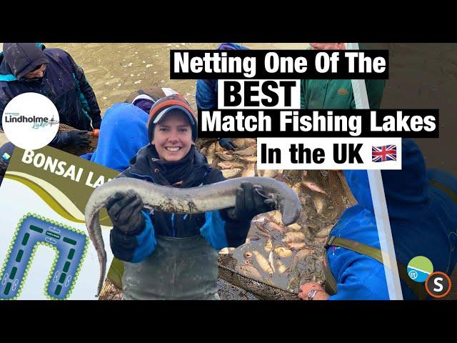 Netting & Draining One Of The BEST Match Fishing Lakes in the UK - Lindholme Lakes Bonsai lake