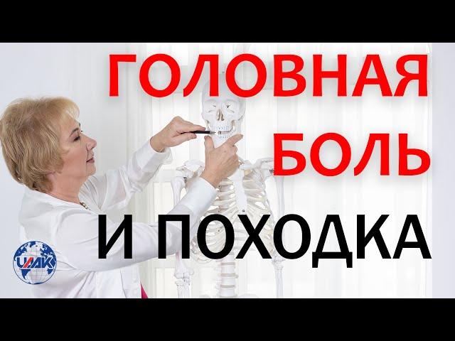 Как головная боль связана с походкой? ( (проф.Васильева)