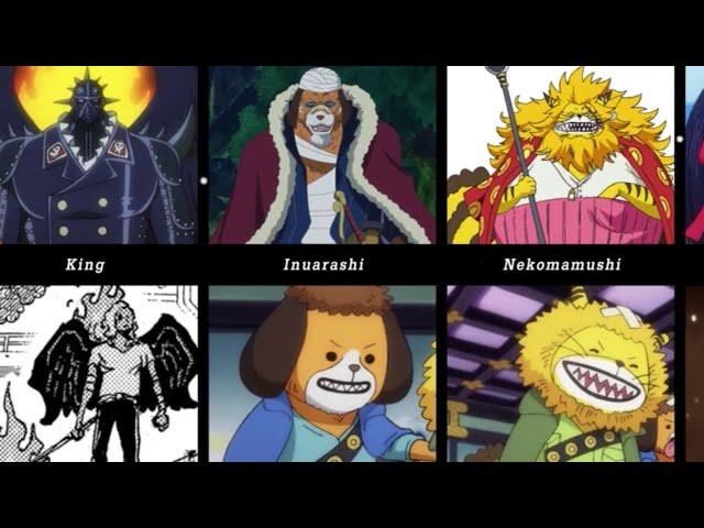 One Piece Characters As Kids (100+)