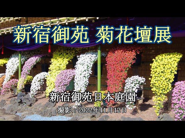 新宿御苑 菊花壇展 [4K] Shinjuku Gyoen Chrysanthemum Exhibition