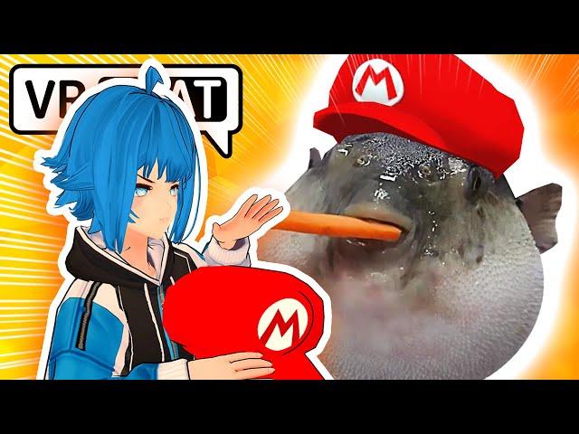  Pufferfish + Mario = ?? 【VRChat funny Highlights】 #34