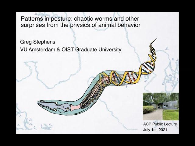 Patterns in Posture: Chaotic Worms, Surprises from the Physics of Animal Behavior