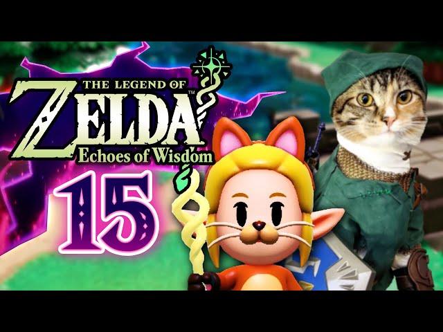 CAT QUEST - The Legend of Zelda: Echoes of Wisdom EP15