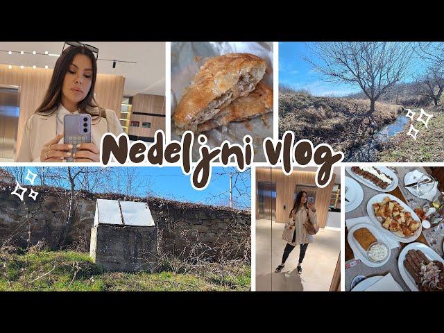 NEDELJNI VLOG - PROBAM NOVITETE ZA KOSU / KUPOVINA POKLONA / PRIPREME ZA PUT / PONOVO U NIŠU ️