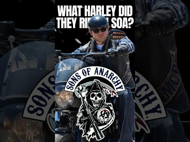 What Harleys Did the Sons of Anarchy Ride? ️