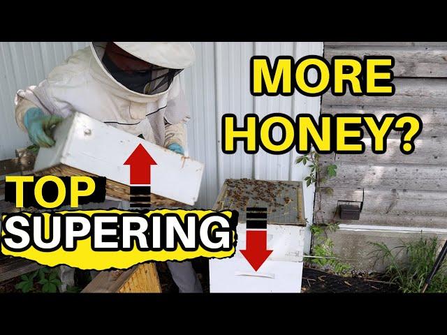 Beekeeping: Adding New Super On Top Or Bottom?