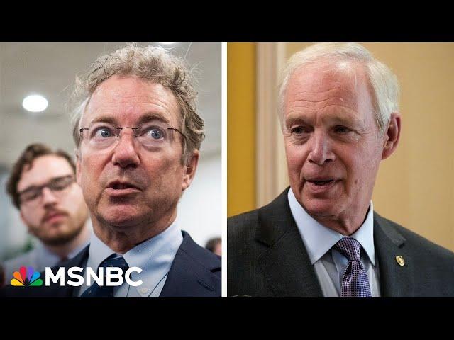 'Conservatives do need to stand up': GOP senators criticize Trump's megabill