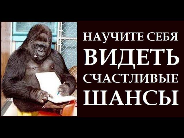 НАУЧИТЕ ВАШ МОЗГ ПОКАЗЫВАТЬ ВАМ СЧАСТЛИВЫЕ ШАНСЫ