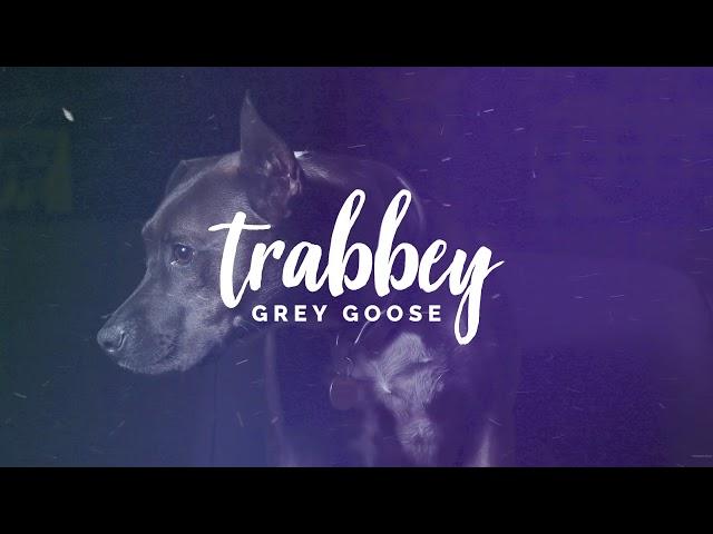 CuBeatz x Murda Beatz x OZ Type Beat ~ 'GREY GOOSE'  | Trap Beat Instrumental