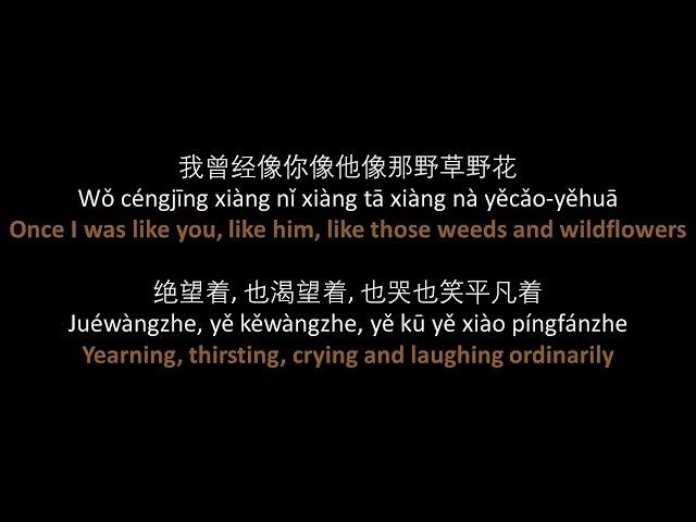 朴树 - 平凡之路 // Pu Shu - The Ordinary Road, lyrics, pinyin, English translation