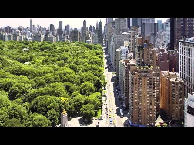 Центральный парк Нью-Йорка - Central Park New York