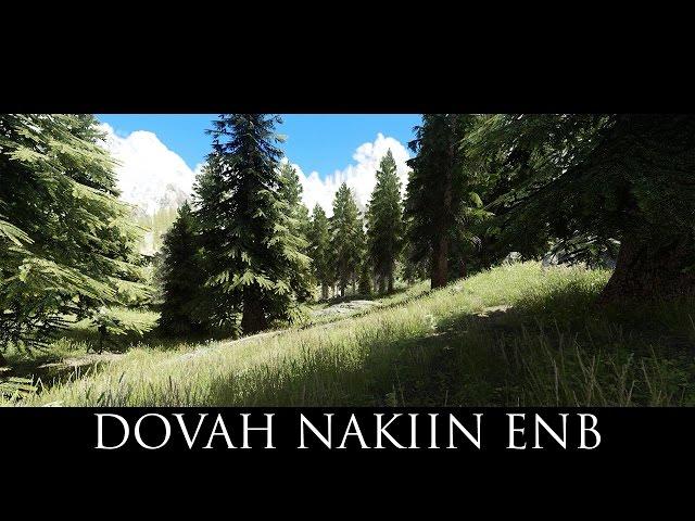 TES V - Skyrim Mods: Dovah Nakiin ENB