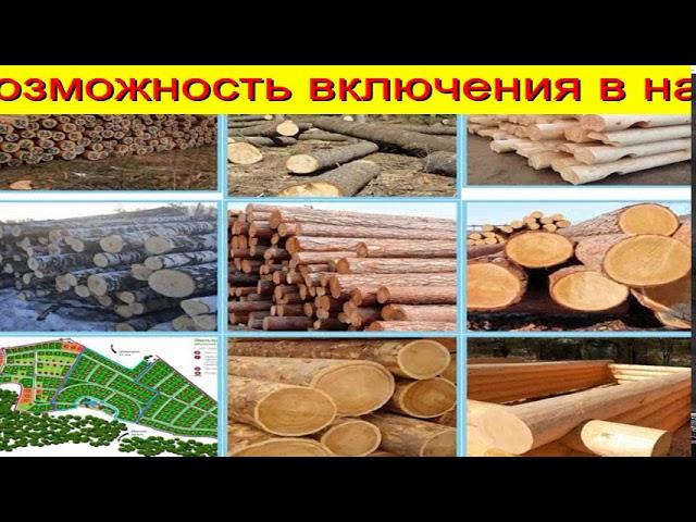 Лес Тюмень Пиловочник