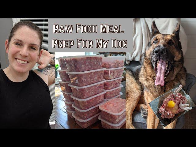 How I Feed My Dog a Raw Food Diet | Way easier and cheaper than you think!