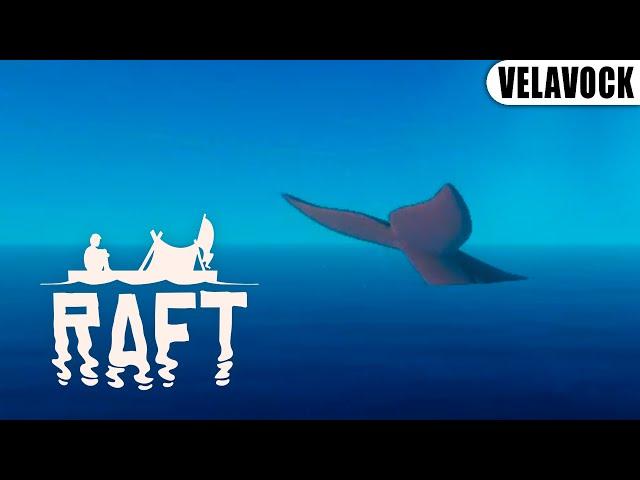 Meeting with a whale - Raft