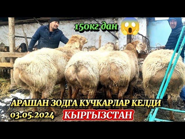 ️+998979951331АРАШАН КЫРГЫЗСТОН ЗОДГА КУЧКАРЛАР КЕЛДИ 03.03.2024