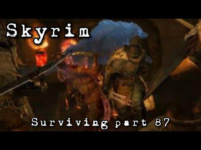 Surviving in Skyrim pt 87 ( Esbern and a party in Riften )