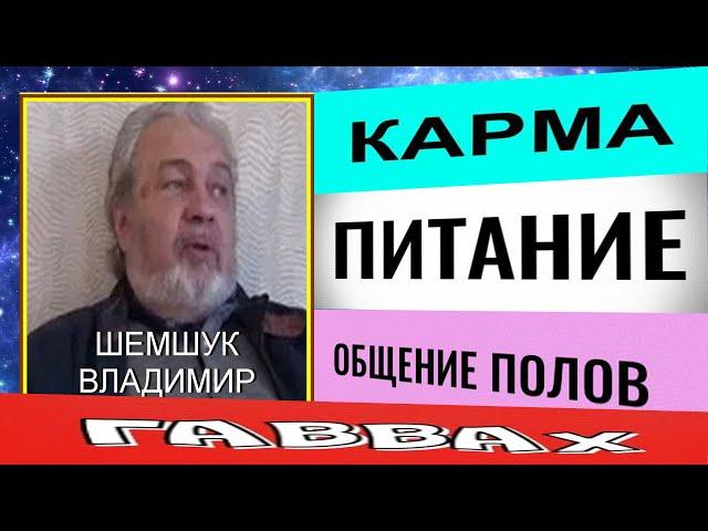 КАРМА, ГАВААХ, ПИТАНИЕ, ОБЩЕНИЕ ПОЛОВ. В.А.Шемшук. #карма#питание #познавательное #любовь #гаввах