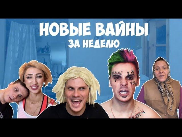 НОВЫЕ ВАЙНЫ ЗА НЕДЕЛЮ (#gan_13_)