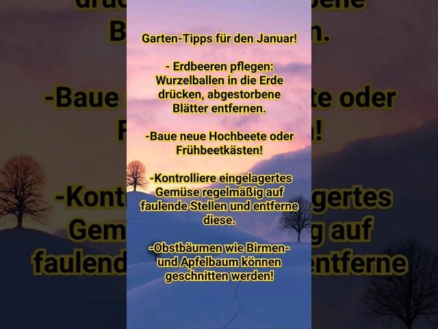 #gartentipps #january #garten #gartenarbeit #gemüsegarten