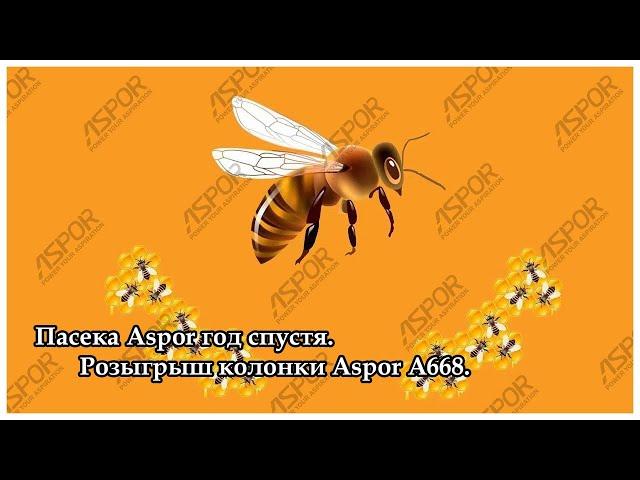 Пасека Aspor год спустя. Розыгрыш колонки Aspor A668