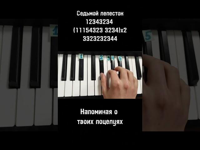 Антон Токарев hi fi Седьмой лепесток(А дождь на окнах рисует)на пианино  Обучение