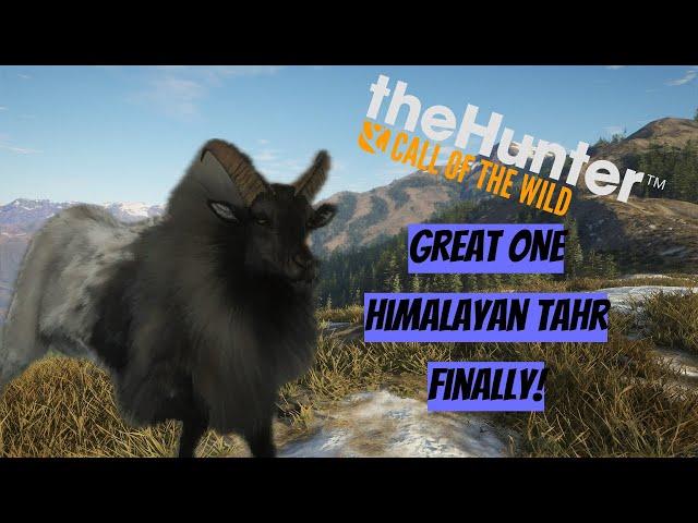 We Finally Obtained the Great One Tahr! (theHunter Call of the Wild)