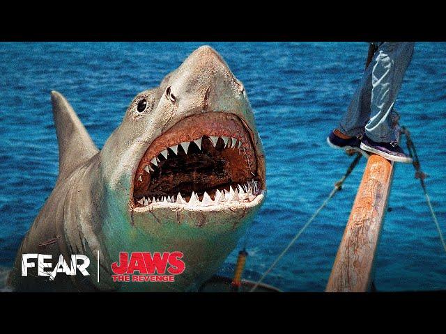 Jaws Attacks The Yacht