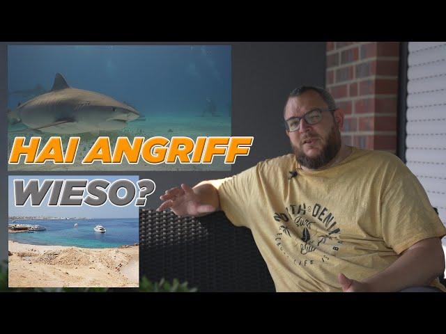 Hai Angriff in Hurghada - Tigerhai in Ägypten - Wieso? Shark Attack Analyse