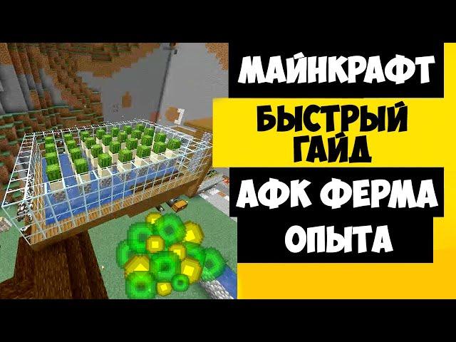 ФЕРМА ОПЫТА МАЙНКРАФТ / АФК ФЕРМА ОПЫТА 1.18 1.17 1.16