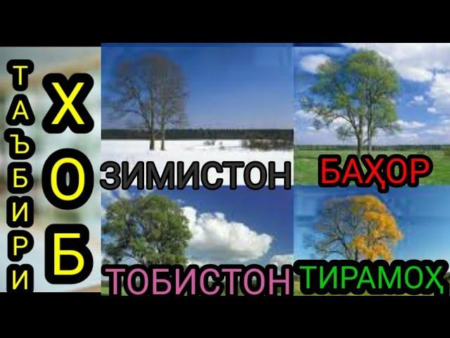 Таъбири хоб:Фаслхои сол дар хоб,- Зимистон дар хоб,Бахор дар хоб,Тобистон дар хоб,Тирамох дар хоб,