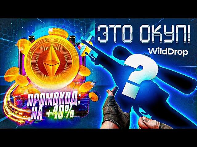 ЭТОТ КЕЙС ВСЕГДА ОКУПАЕТ НА WILDROP?