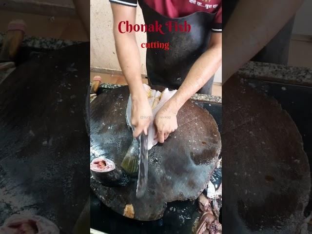 Chonak Fish Cutting #fish  #chonak_fish_cutting #viral  #seafood #shortsvideo #goa #npfishcompanykop