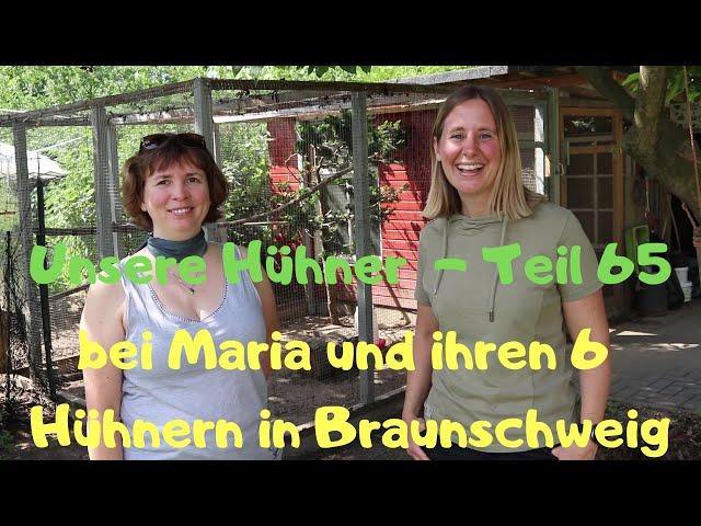 unsere Hühner Teil 65: bei Maria und ihren 6 Hühnern in Braunschweig