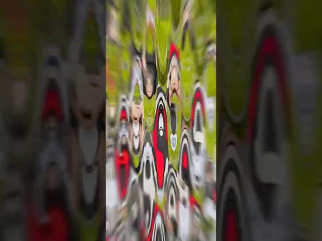  EDIT BY OFFICIAL SB EDITOR  B63E608